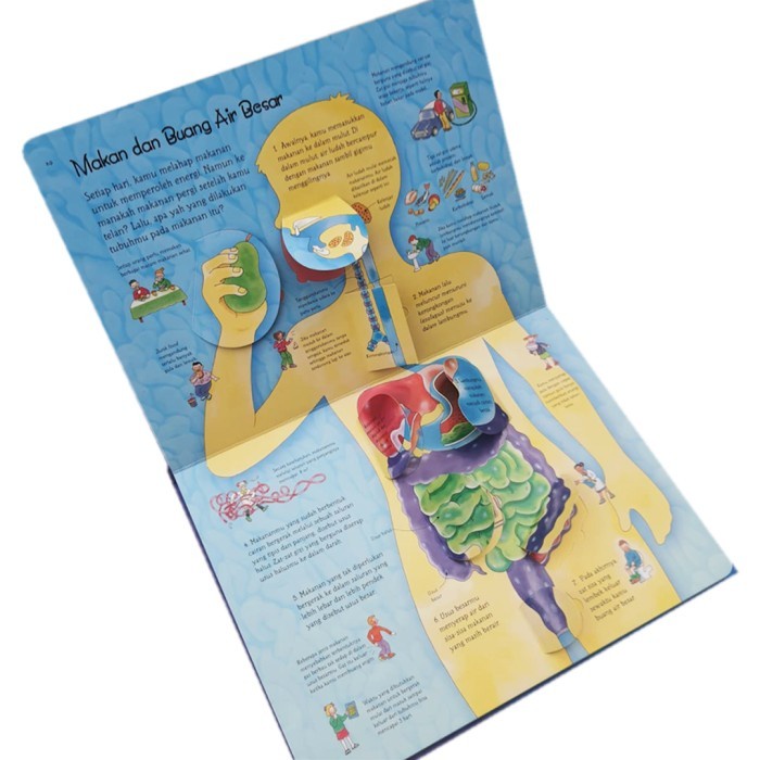 PROMO BUKU SEE INSIDE TUBUHMU TERJEMAHAN USBORNE BAHASA INDONESIA ERLANGGA TERBARU