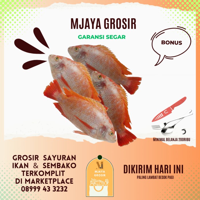 

Ikan Nila 500gr