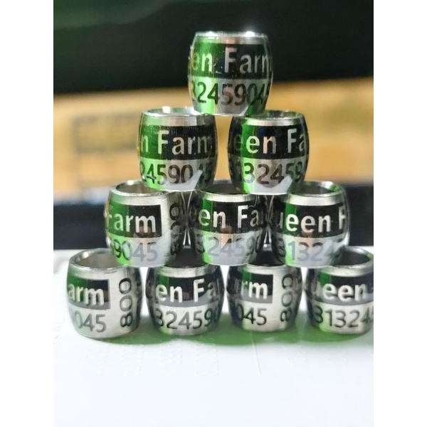 Ring merpati baja gendang blok atas