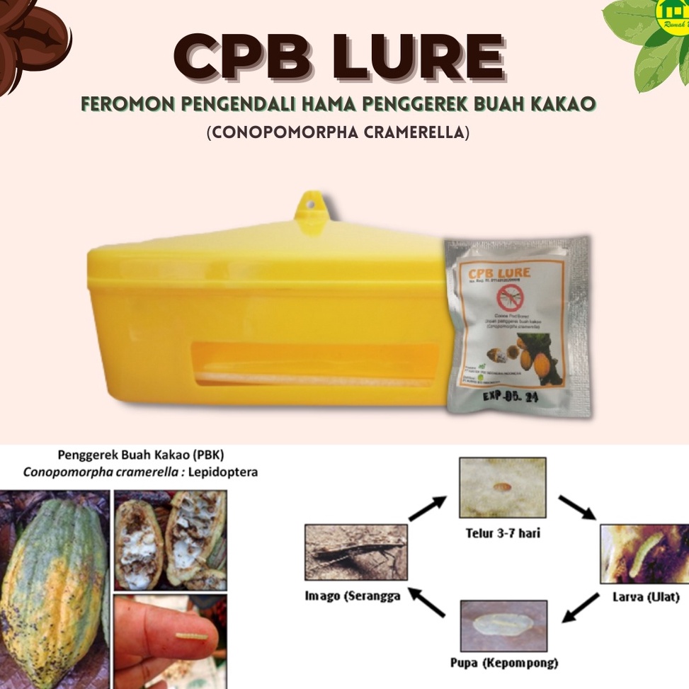 'DQn CPB LURE - Perangkap Hama Penggerek Buah Kakao (Conopomorpha Cramella) z Premium Ready.