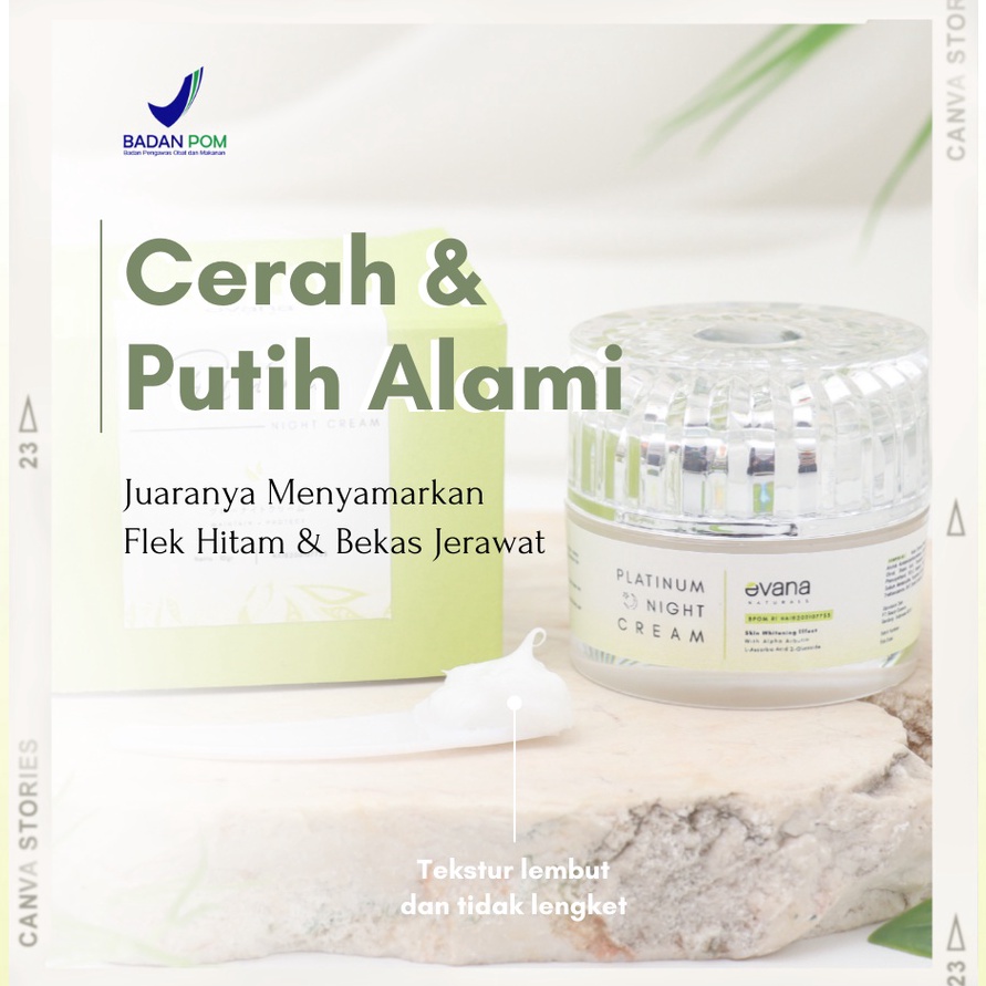 HOT Product Evana Beauty Care - (Wajib Konsul) Night Cream Platinum - Cream Penghilang Flek Hitam Da