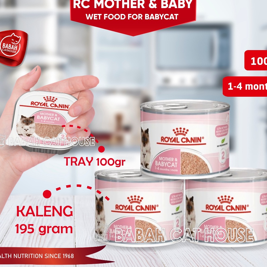 Original RC MOTHER AND BABY CAT Kemasan KALENG / TRAY Royal Canin Makanan Kucing Basah untuk Bayi 1 