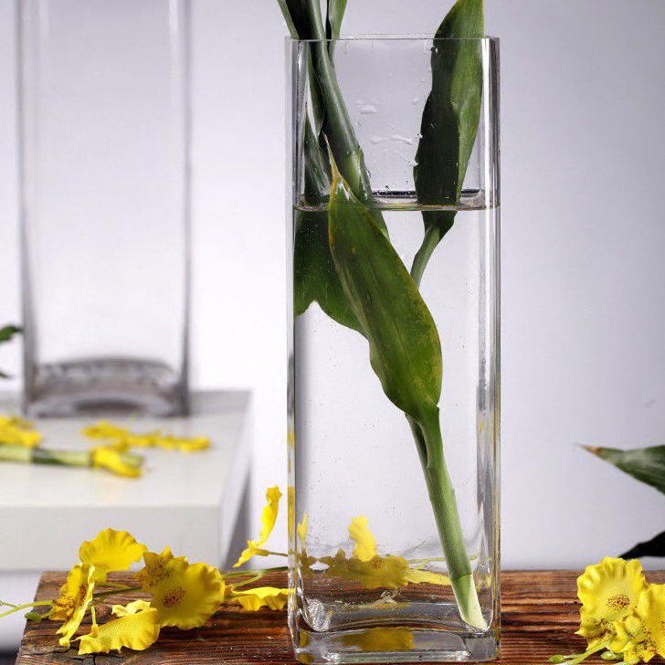 Murah Vas Bunga Kaca Bening Tinggi / Vas Kaca Dekorasi ruangan / Vas bunga hidup