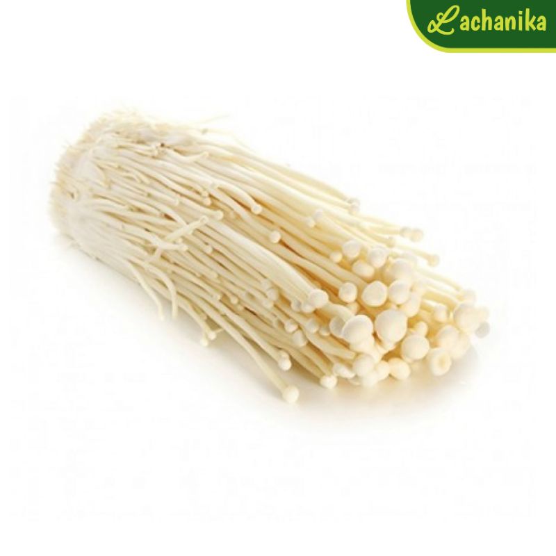 

Jamur Enoki Perbungkus