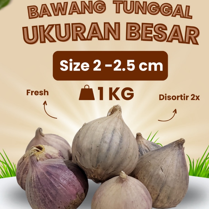 

HFVL2538 COD Bawang Putih Tunggal Lanang Besar 1KG