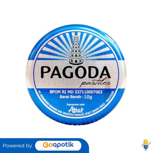 

PAGODA PASTILES RASA MINT 10 GRAM