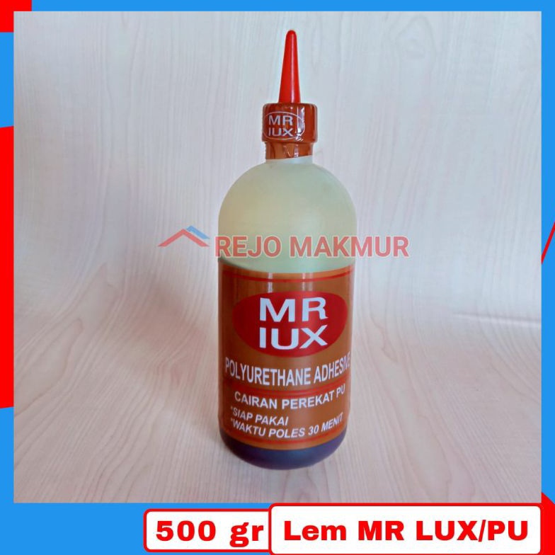 

6.6 Promo Brand LEM MR IUX 500GR