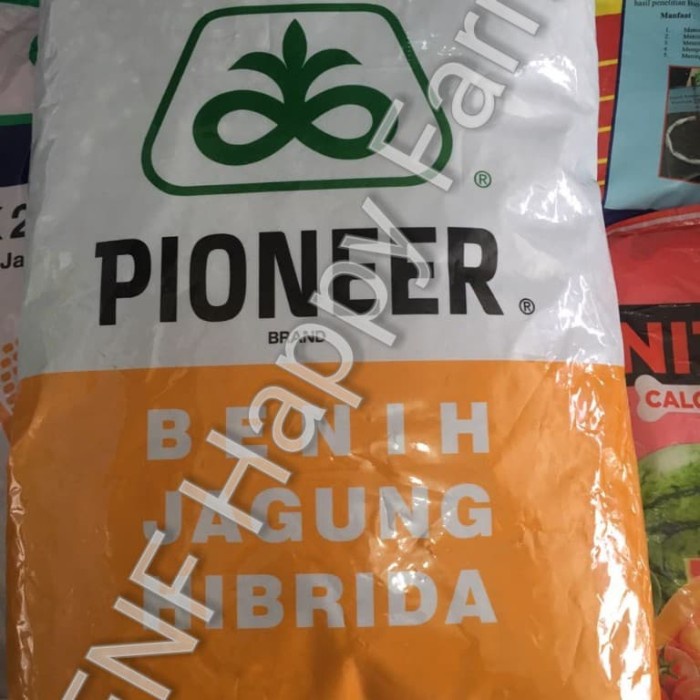 Benih Jagung Pioneer P32 Singa isi 5kg