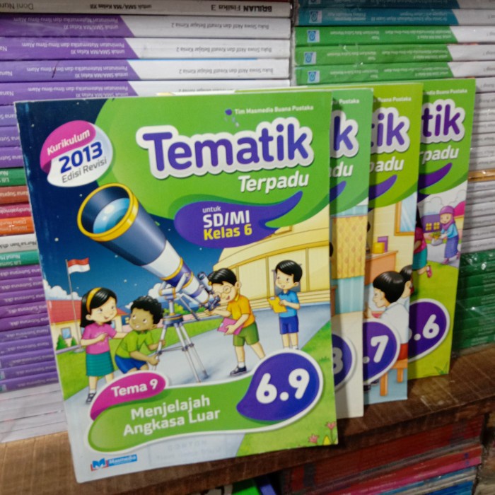 DISKON SPESIAL BUKU TEMATIK TEMA 6,7,8,9 SD KELAS 6 K13 REVISI MASMEDIA TERMURAH
