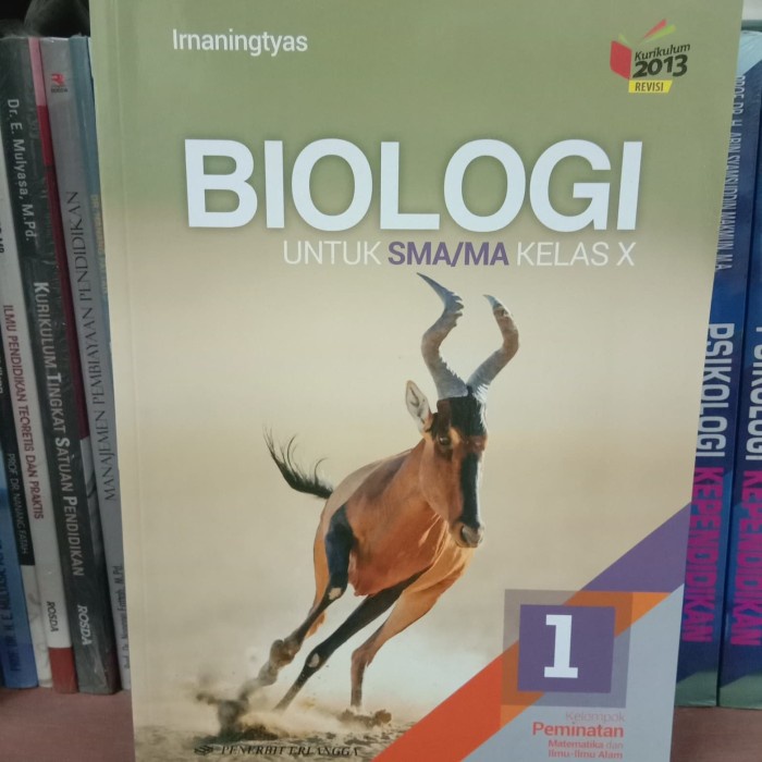 MUST HAVE BIOLOGI SMA KELAS.X/10 ERLANGGA TERLARIS