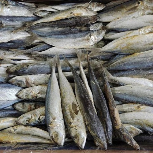 

Ikan Asin Japuh Layang Rebus 1kg