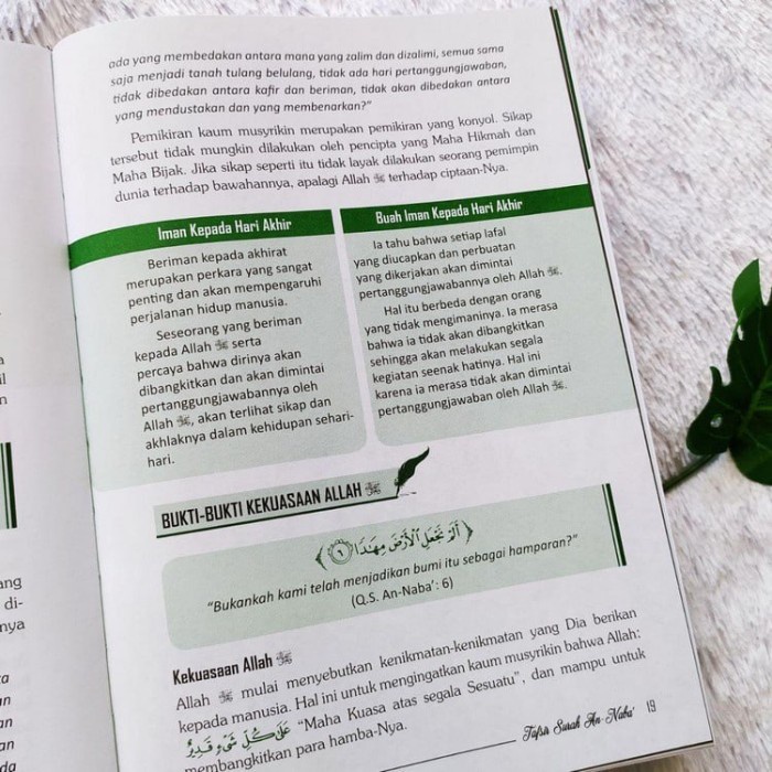 FLASH SALE BUKU TAFSIR JUZ AMMA USTADZ FIRANDA TERBARU