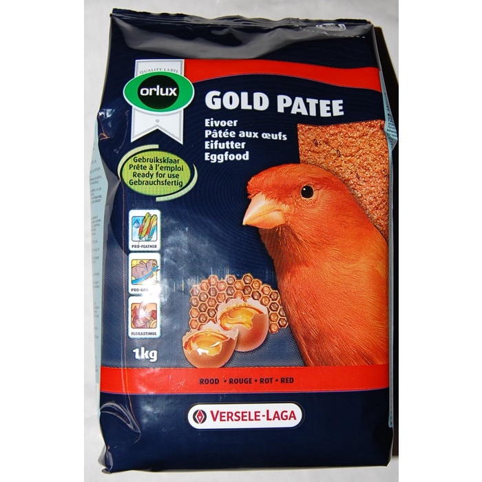 gold patee kenari import