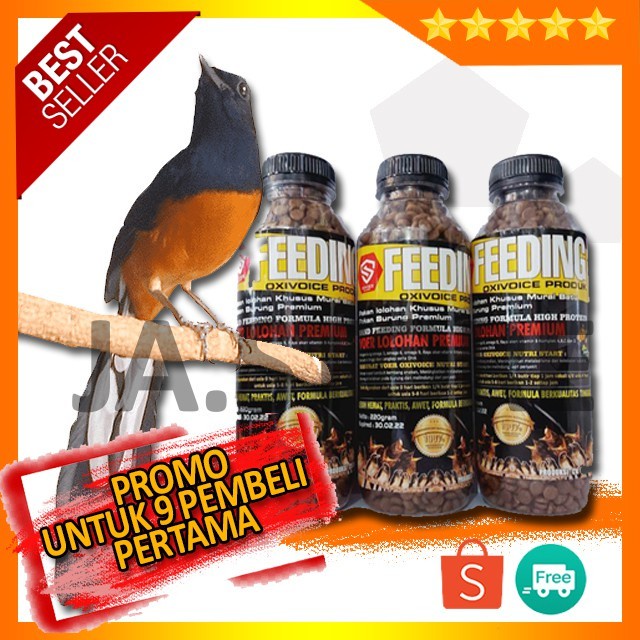 Loloh Untuk Oxifeeding Murai Pakan Premium Batu Anakan Oxivoice feedin