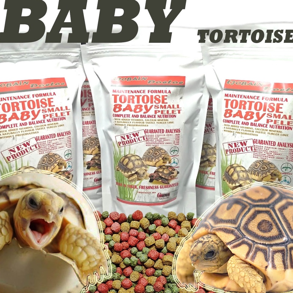 BIG SALE 250GR TORTOISE FOOD BABY SMALL PELLET REPTILE MURAH MAKANAN PELET BAYI ANAK KURA KURA DARAT
