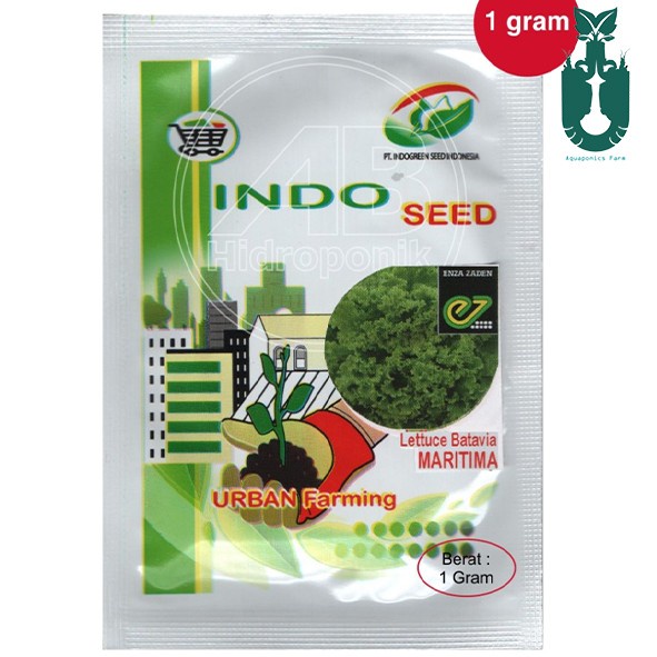 Benih Bibit Selada Maritima 1 gram Indoseed Enza Zaden