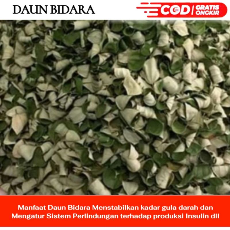 

Daun bidara arab kering 100g