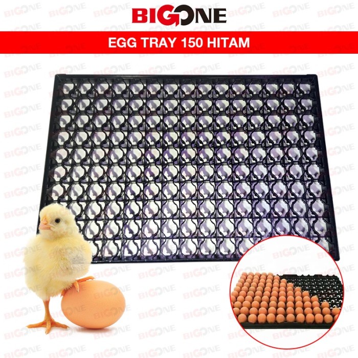 Terlaris Egg Tray 150 Hitam Pp / Tempat Penetasan Telur / Keranjang Telur Ayam
