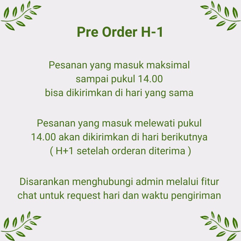 

Jus Bit Beet Beetroot Bengkoang Bengkuang Kale Apel Nanas Lemon Romaine Buah Sayur Sehat Cold