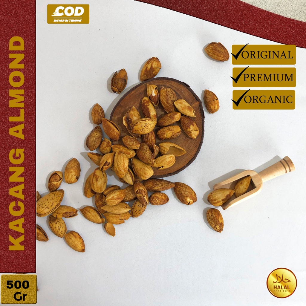 

Kacang Almond Roasted 500Gr Kacang Arab Almond Kacang Almond Manis Oleh Oleh Haji Dan Umroh