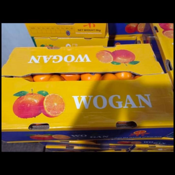 

TERBARU JERUK WOKAM ISI 9 KG/ BUAH IMPORT MURAH/ IMLEK GIFT FRUIT !!!!!!