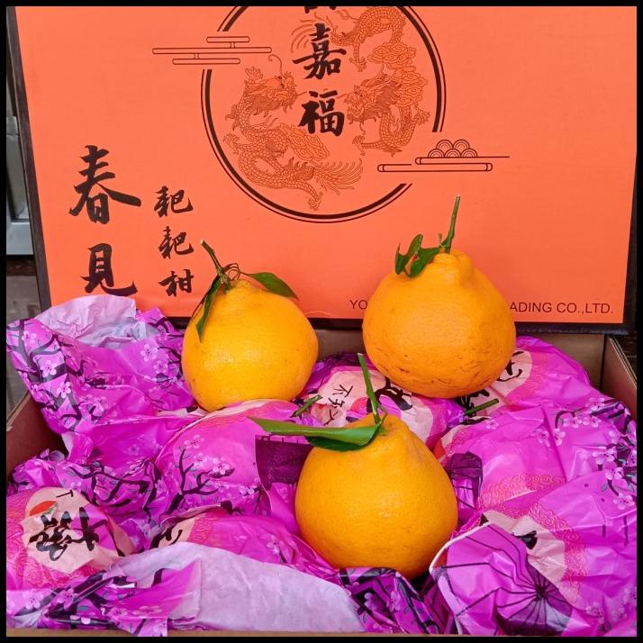 

HOT DEAL BUAH JERUK DEKOPON ISI 20 XL/ BUAH FRESH IMPORT/ KADO !!!!!!!