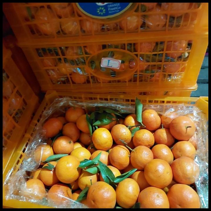 

GRATIS ONGKIR READY JERUK SANTANG ORANGE DONGFENG ISI 7 KG FRESH ENAK/ KADO BUAH !!!