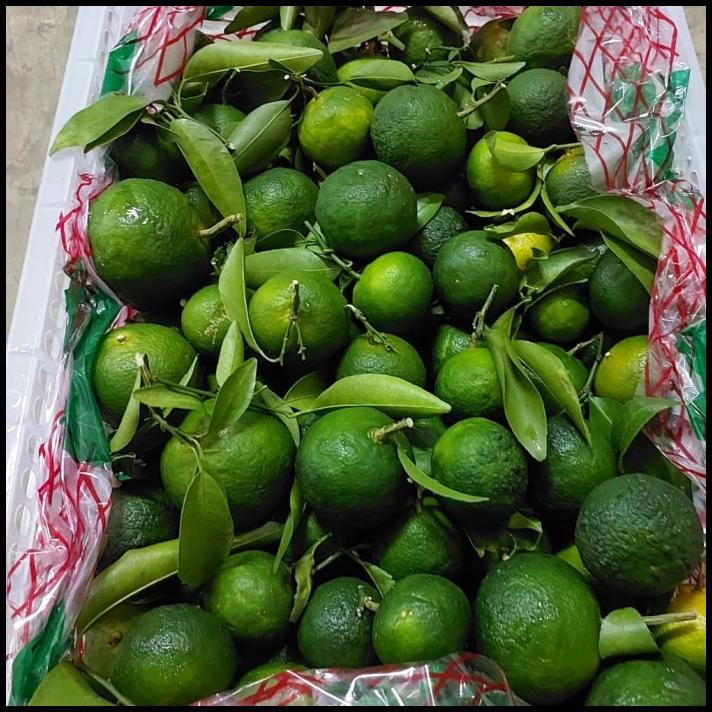 

DISKON BUAH JERUK SANTANG HIJAU DAUN MADU ISI 5 KG/ JERUK MANIS MADU / KADO