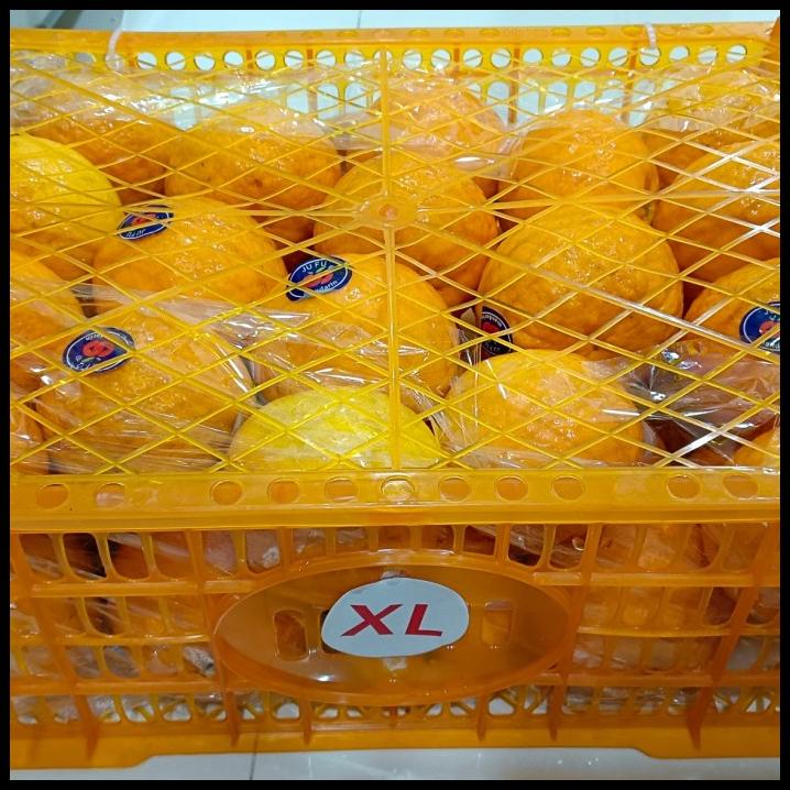 

TERMURAH BUAH JERUK WOKAM FRESH/JERUK IMPORT ENAK/KADO !