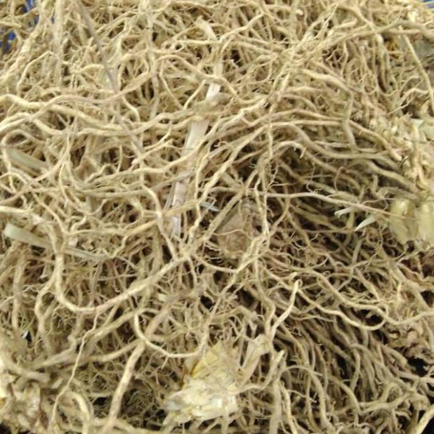 

Update Akar Wangi 500gr Asli !!