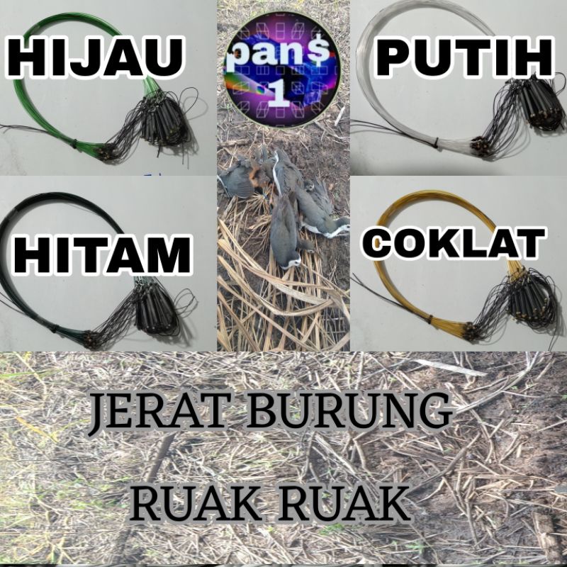 jerat racik burung ruak ruak