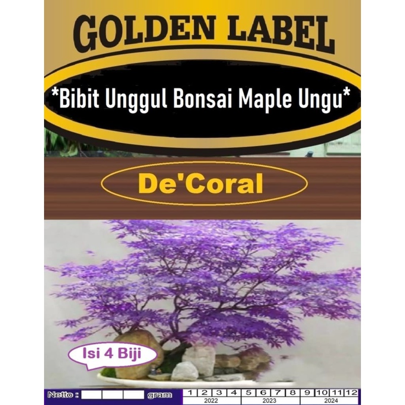 Bibit Unggul Bonsai Maple Ungu | Benih Bonsai Maple Jepang Ungu