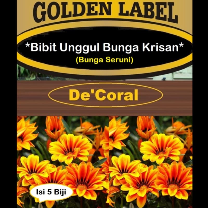 Bibit Unggul Bunga Krisan | Benih Bunga Krisan | Bibit Bunga Seruni