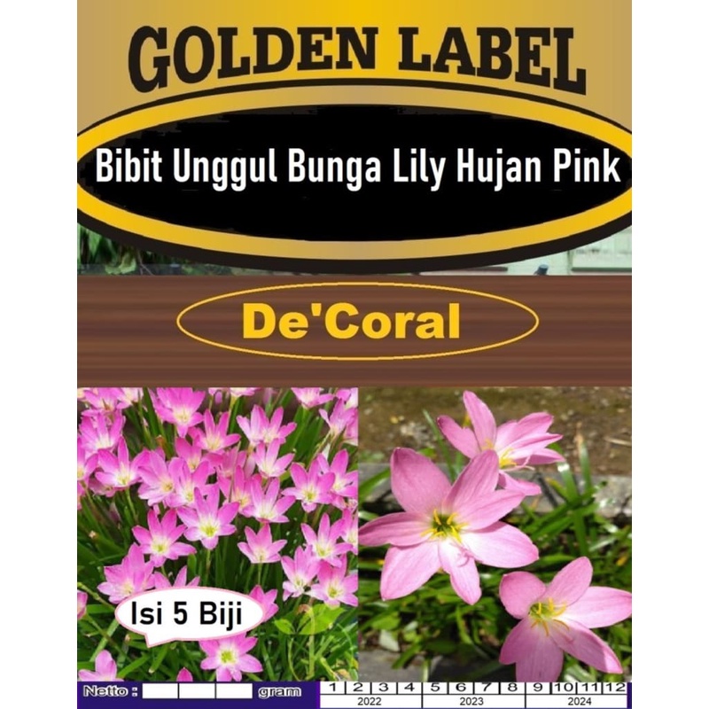 Bibit Unggul Bunga Lily Pink Hujan|Benih Bunga Lili Hujan|Lily Hujan