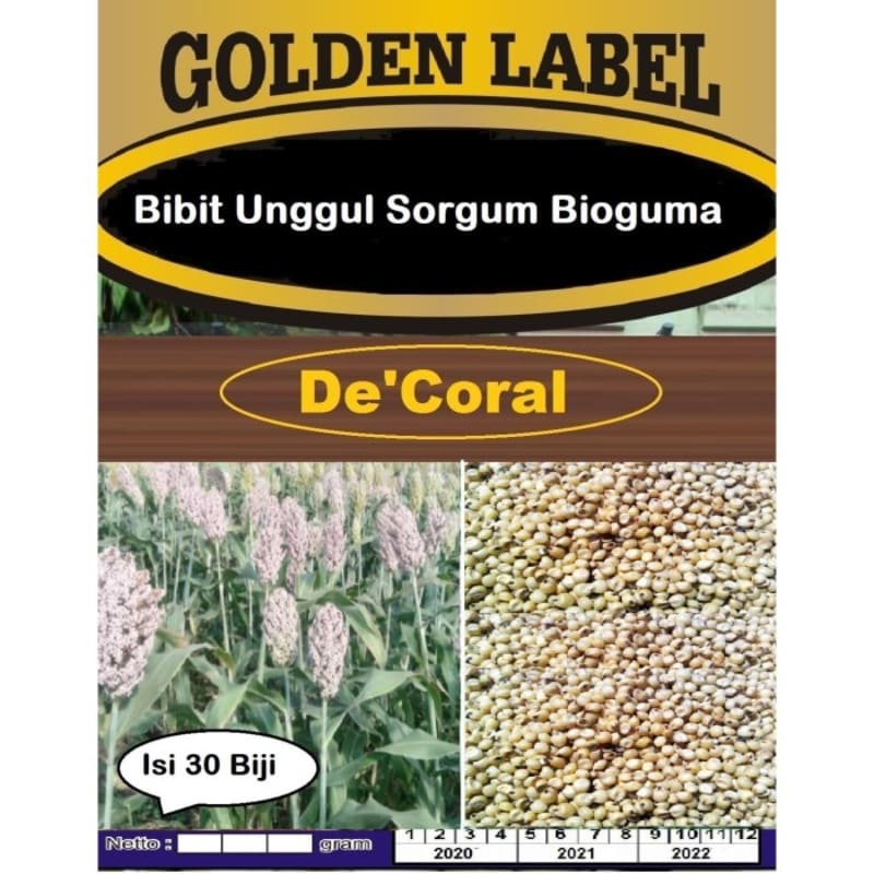 Bibit Unggul Sorgum Bioguma | Benih Sorgum Bioguma