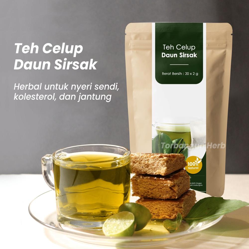 

Update - Teh Celup Daun Sirsak Anti Kanker Benjolan Herbal Ampuh Mengatasi Asam Urat Nyeri Sendi