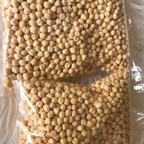 

Kacang Arab Chipea