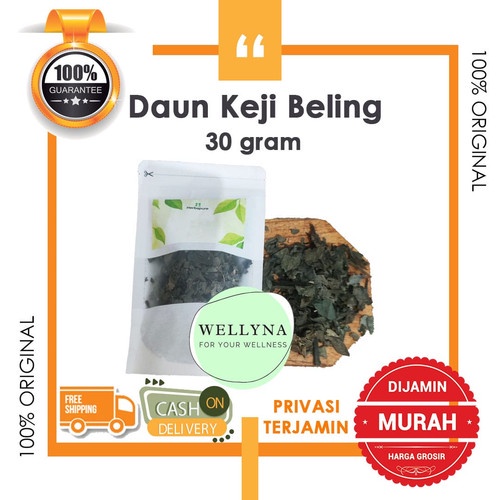 

☘️Wellyna☘️ Daun Keji Beling Kering 30 gr