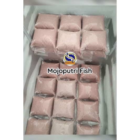 

ikan tenggiri giling trimming