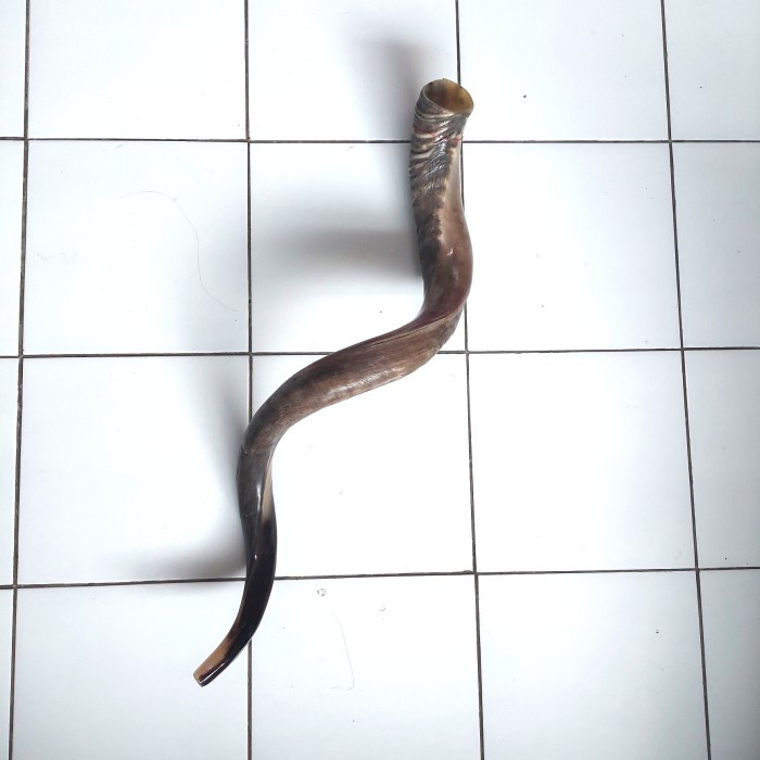 

✨Sale Shofar Yeminte 44 Inc Limited