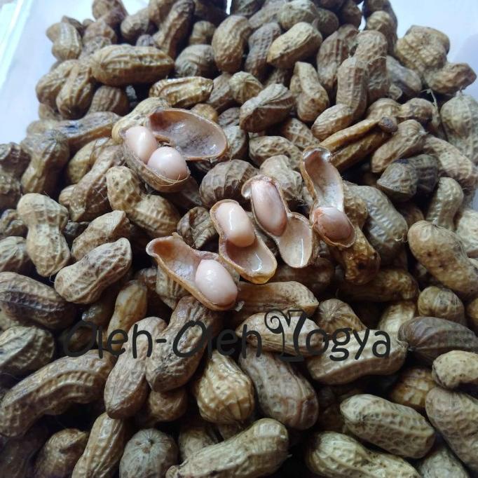 

SALIMASHOPP !!! jajanan jogja kacang rebus