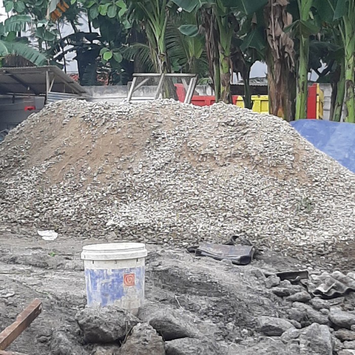 ✅Ori Sirtu Urug Berkualitas