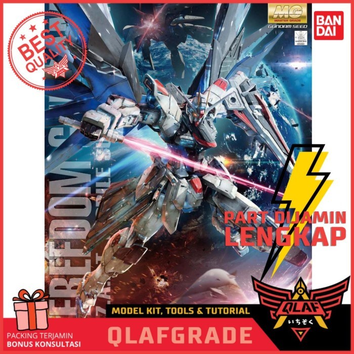 MG Freedom Gundam Ver 2.0