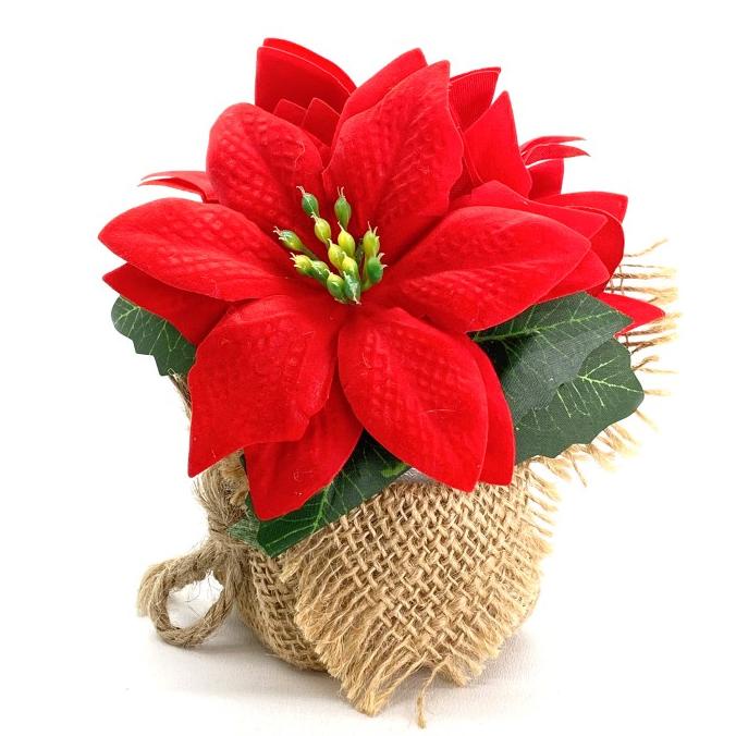 

Terbaru Scoop Pot Bunga Natal 60251301 Pengiriman Cepat