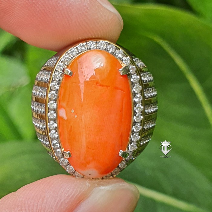 Batu Mulia Natural Orange Coral Marjan Asli 6.13 Ct NTE No Treatment