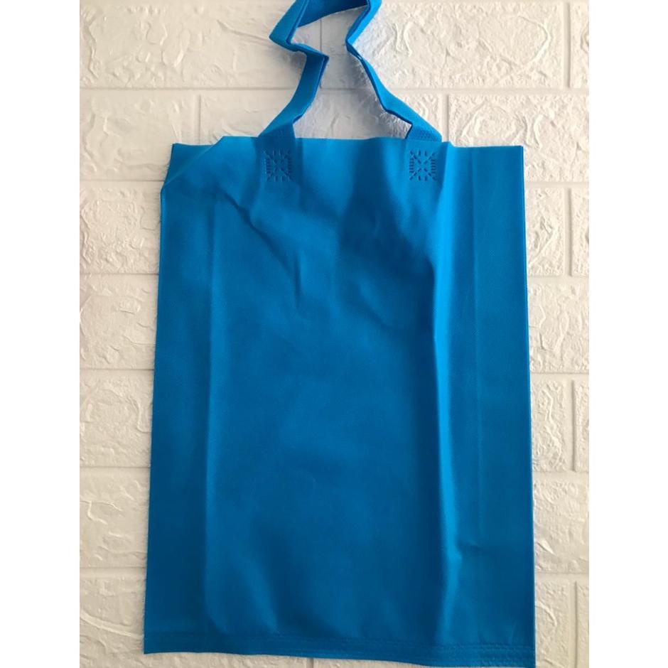 

Promo - (ISI 12 PCS) - Goodie Bag Tas Kain Spunbond Handle Tali Ukuran 30x40x8 - Lusinan ,,