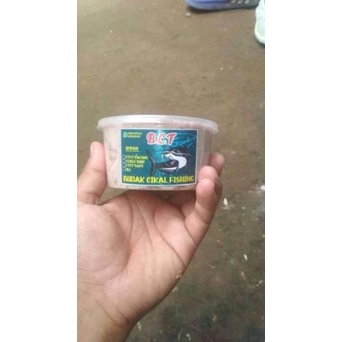 Terlaris umpan Galatama lele teryahuttt OTOT RACING produk (B.C.F) Murah