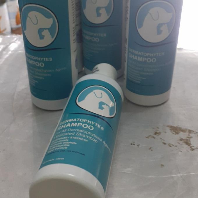 Shampoo kutu anjing kucing