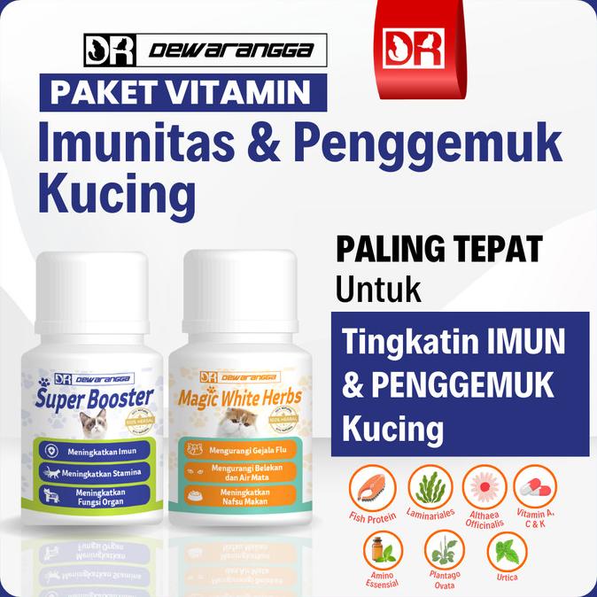 Vitamin Imun Kucing dan Penggemuk Kucing Dewarangga - Imunitas Kucing