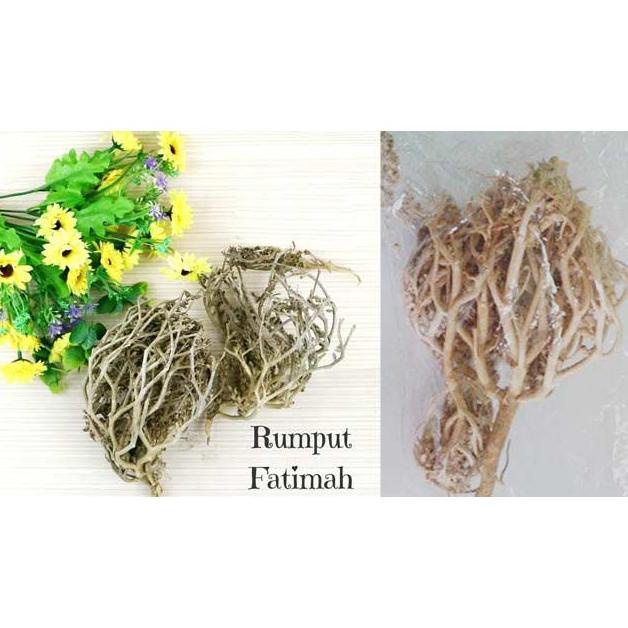 

Promo Herbal Pelancar Persalinan Rumput Fatimah Sangat Bagus Buat Ibu Hamil Juga, Original Arab Saudi Viral